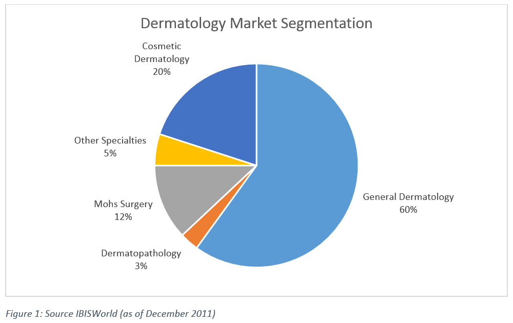 dermatology_segment-1000x630